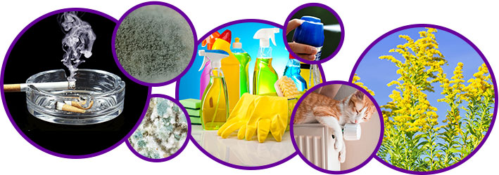 commercial indoor air quality