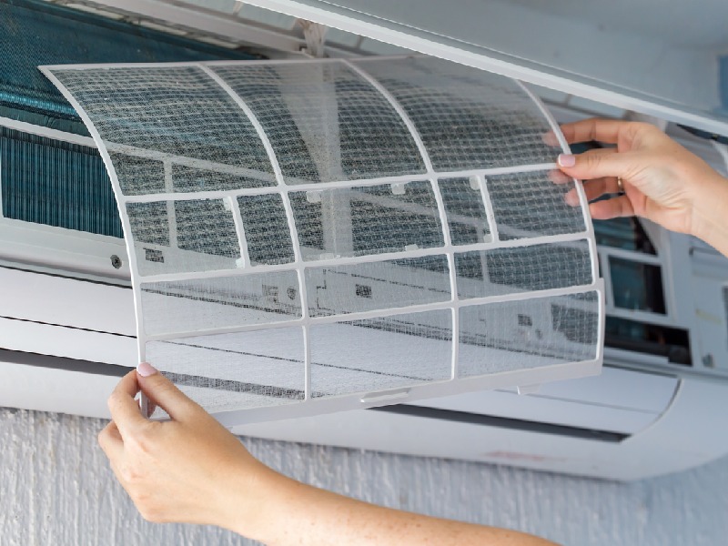 The Role of HVAC Systems in Managing Pet Hair and Allergens Zack Hammonds A/C Heating